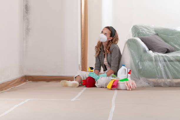 Reliable Crawl Space Mold Removal contractor in Longwood, FL by WQB Mold Removal